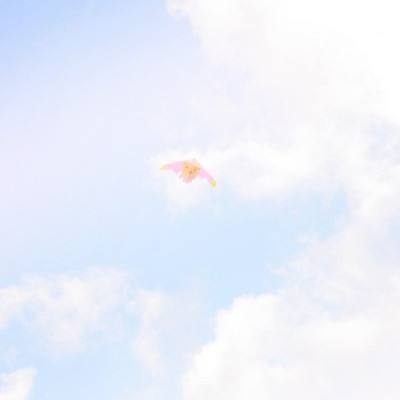 弱点官方版